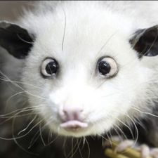 Profile image of 5Bamboo5
