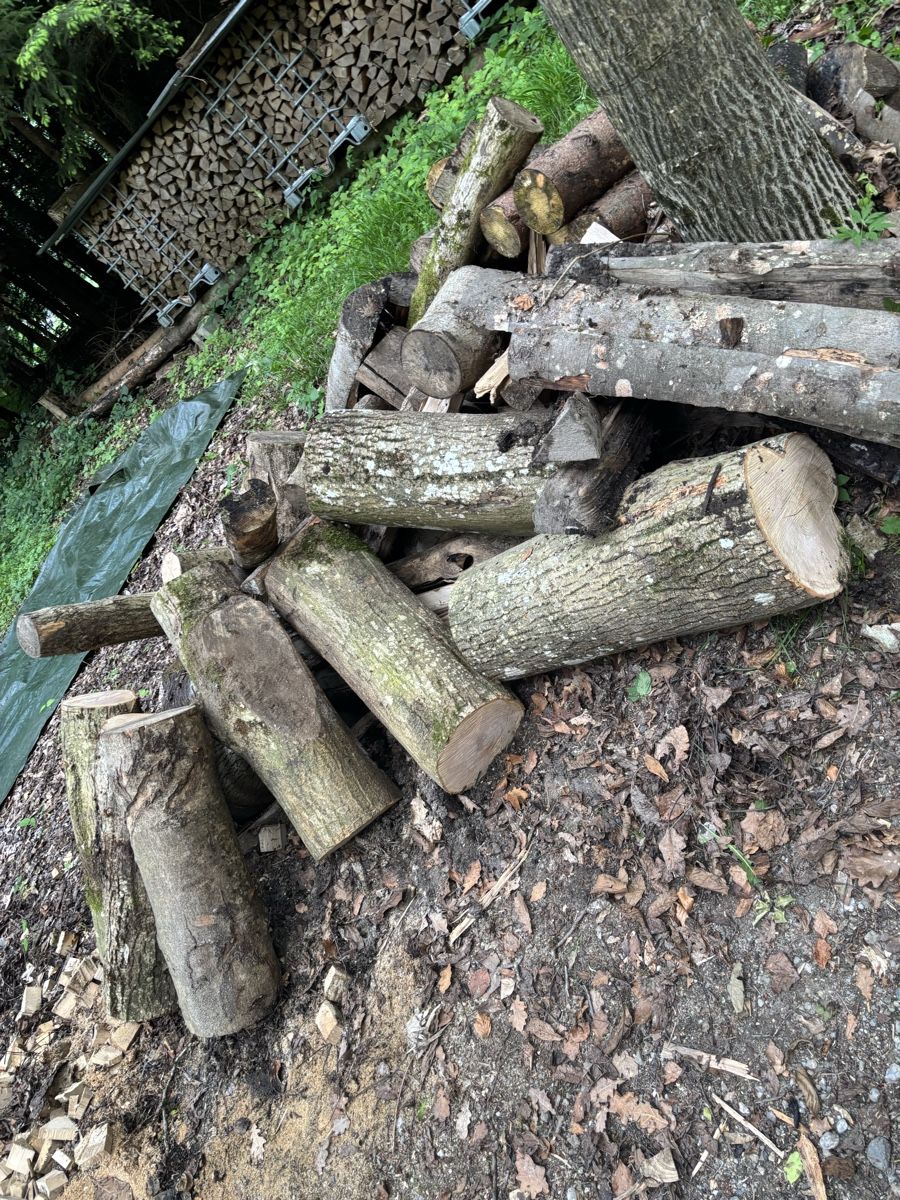 Articles en bois: Brennholz Abschnitte – D'occasion à Wil SG par mario.wick 2