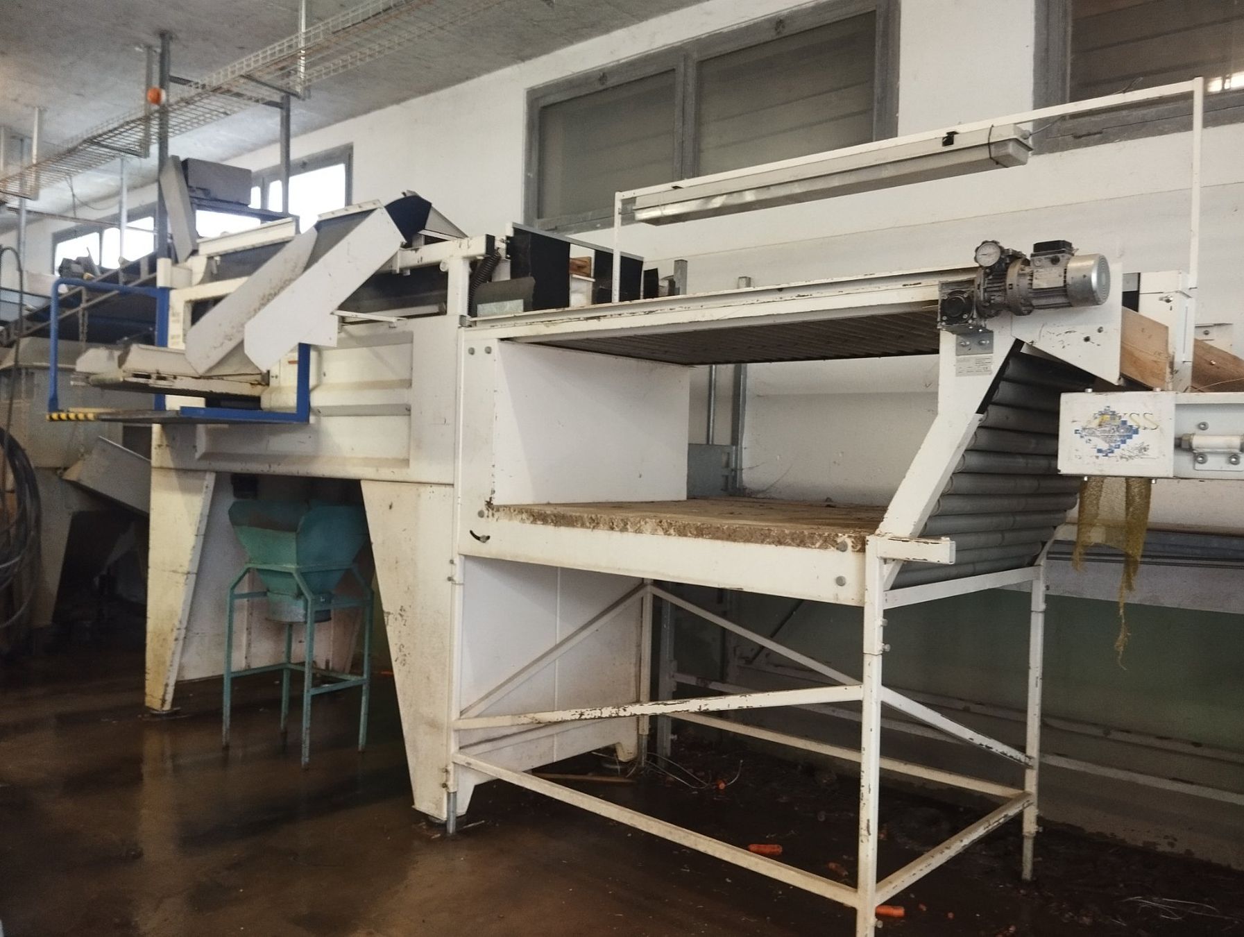 Tutte le macchine: Kartoffelsortiermaschine – Usato da Egolzwil venduto da wima01