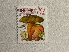 DDR Briefmarken (Gratis-Versand)