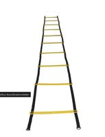 Sveltus Koordinationsleiter NEU