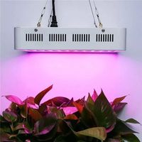 Volllicht-Lampe für Hanfplantage Marihuana