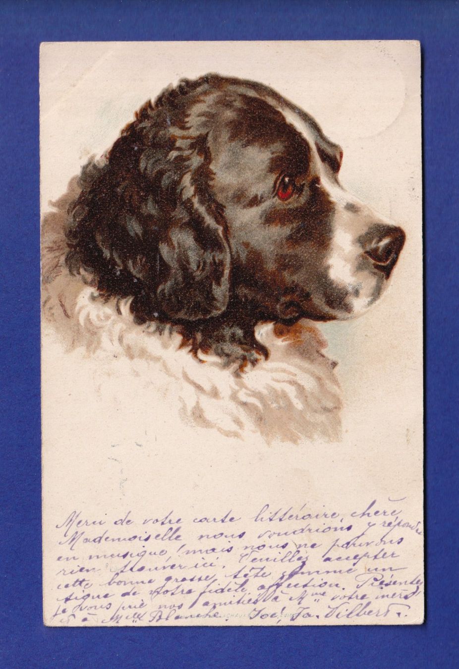 Ansichtskarten: CHIEN / HUND – Gebraucht aus Pully von nicecards-shop