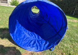 Hunde Tunnel Blau