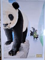 Plakat - Basel - nmbs - Archive des Lebens - 2011