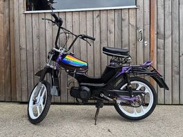 Zu verkaufen Pony Cross