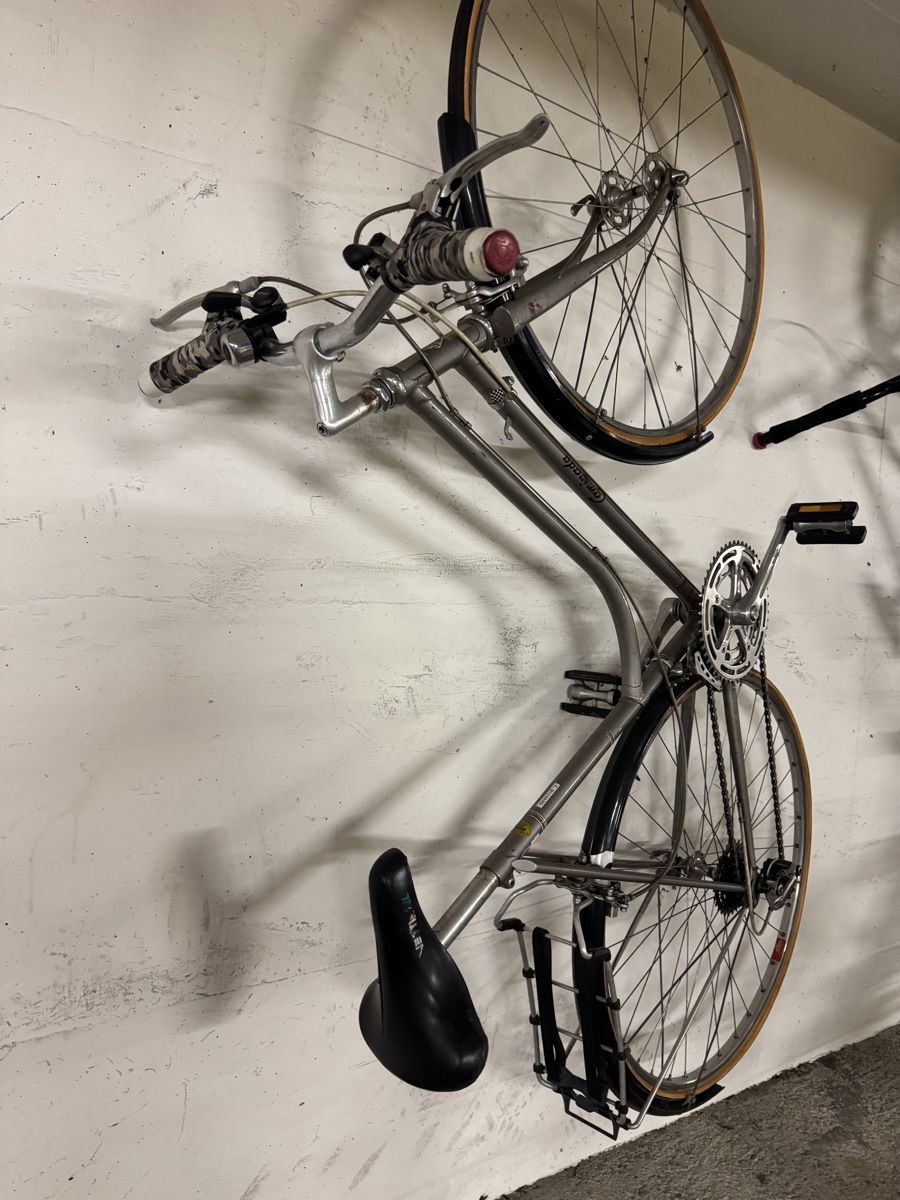 Campagnolo Biciclette: Damen Rennrad/City Velo – Usato da Zürich venduto da Ekaterinek 4