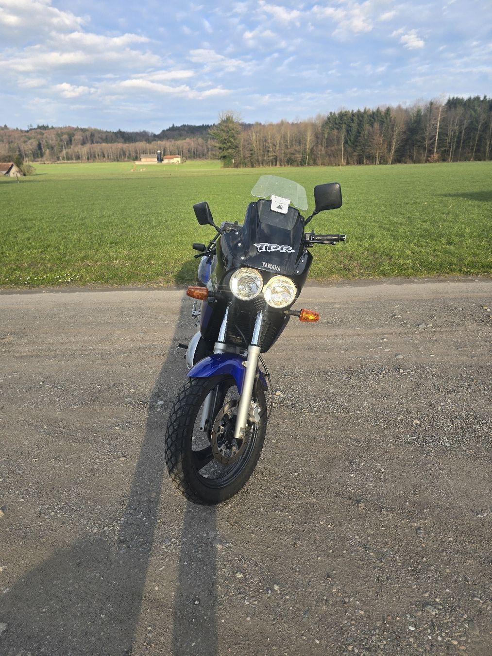 Yamaha Touring: Yamaha TDR125R – Usato da Niederbüren venduto da FatziFatz