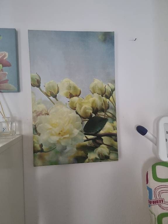 Altro per la casa: Accessori e oggetti per la casa – Usato da Pregassona venduto da ter_8n96 3