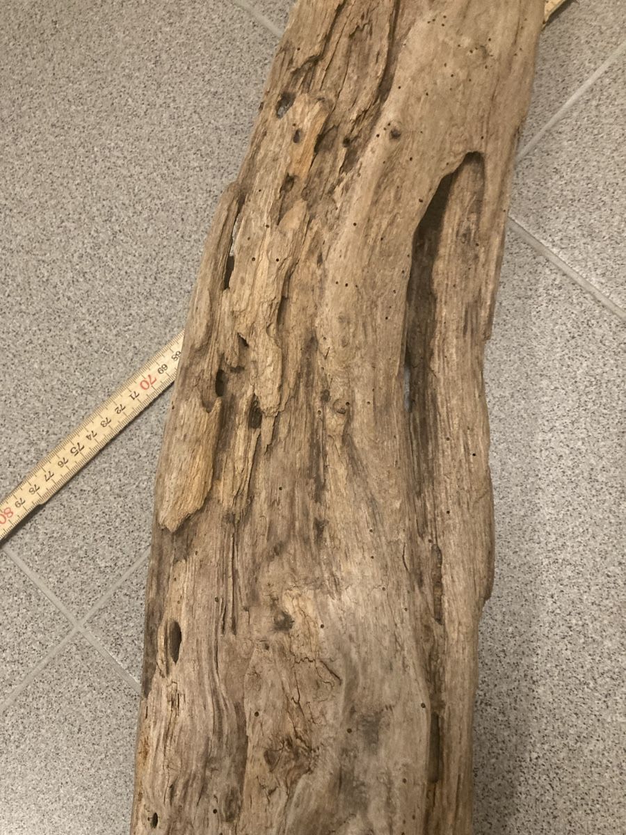 Holzartikel: Schwemmholz – Gebraucht aus Staad SG von gab_7dr9 5