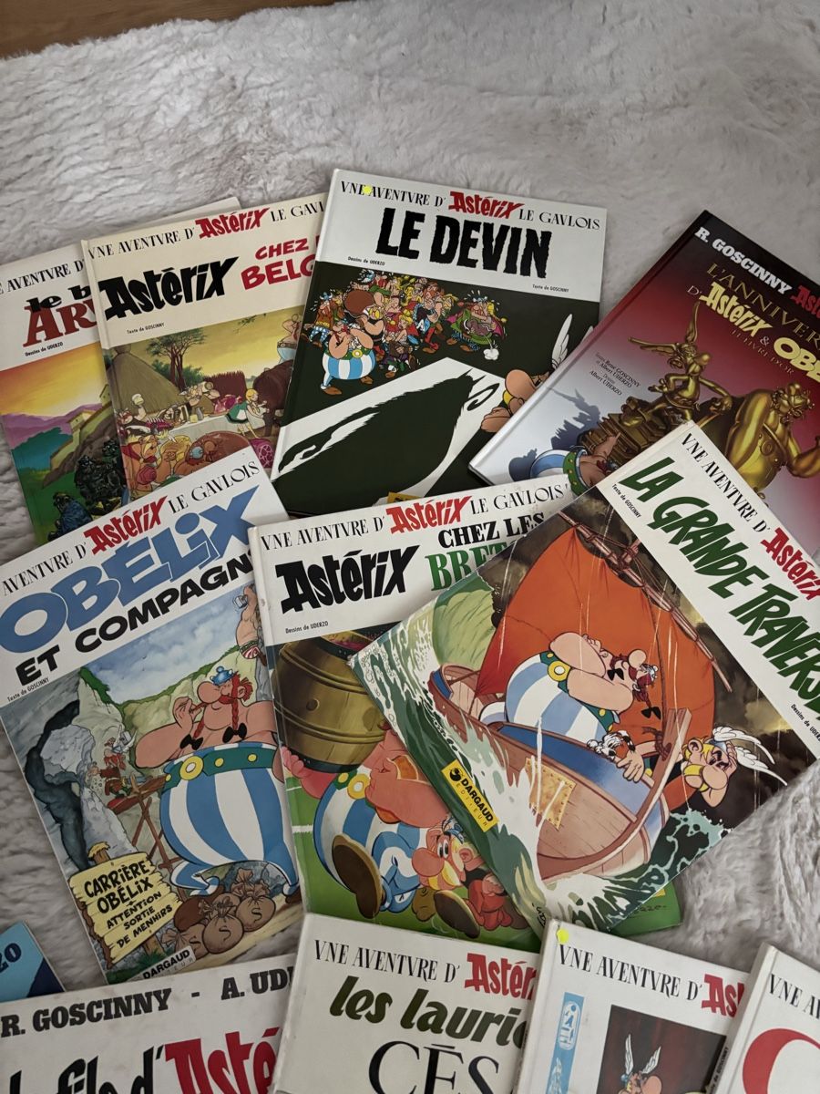Fumetti: Asterix Comics  14 Stk guter Zustand – Usato da Nottwil venduto da Mountainbiker63 3
