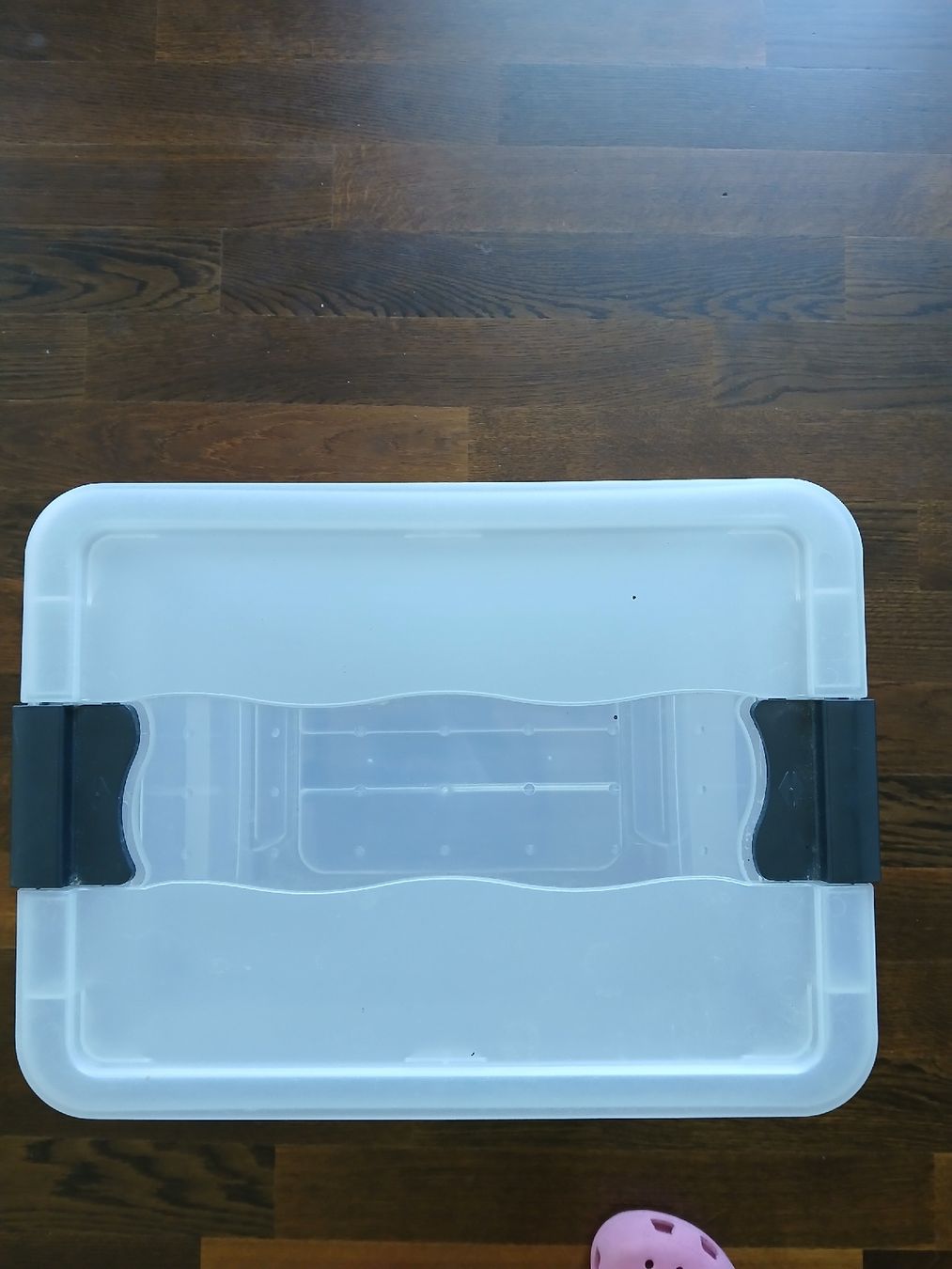 Altro in Decorazioni & Accessori: Plastic Storage Box with Lid good condition  – Usato da Dübendorf venduto da rol_fm6d 1