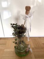 Zimmerpflanze im Flaschenhals