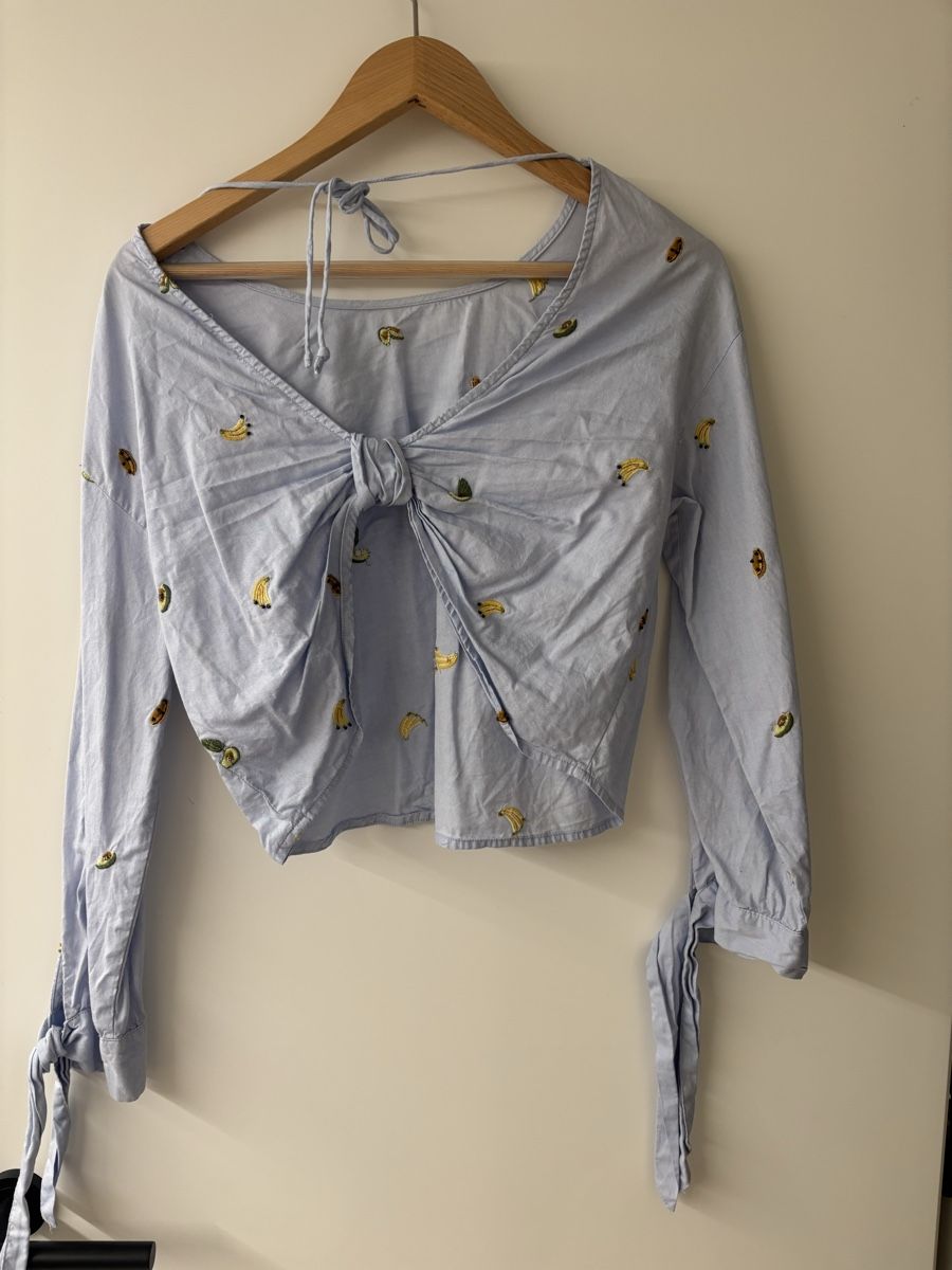 Zara Camicette: Bestickte Bluse von Zara – Usato da Netstal venduto da ali_x5fx 1