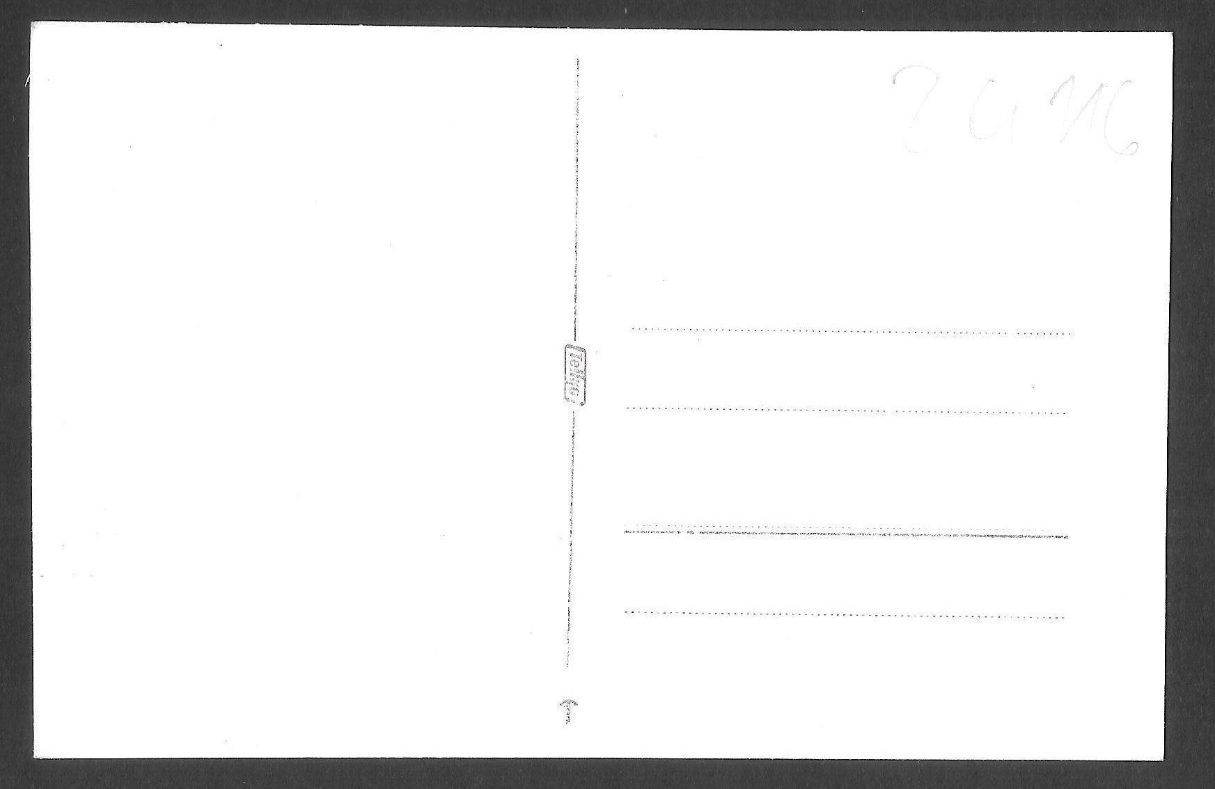 Cartoline postali: Unterägeri Aegerisee mit Seerosen – Usato da Olten venduto da clotaldi 1