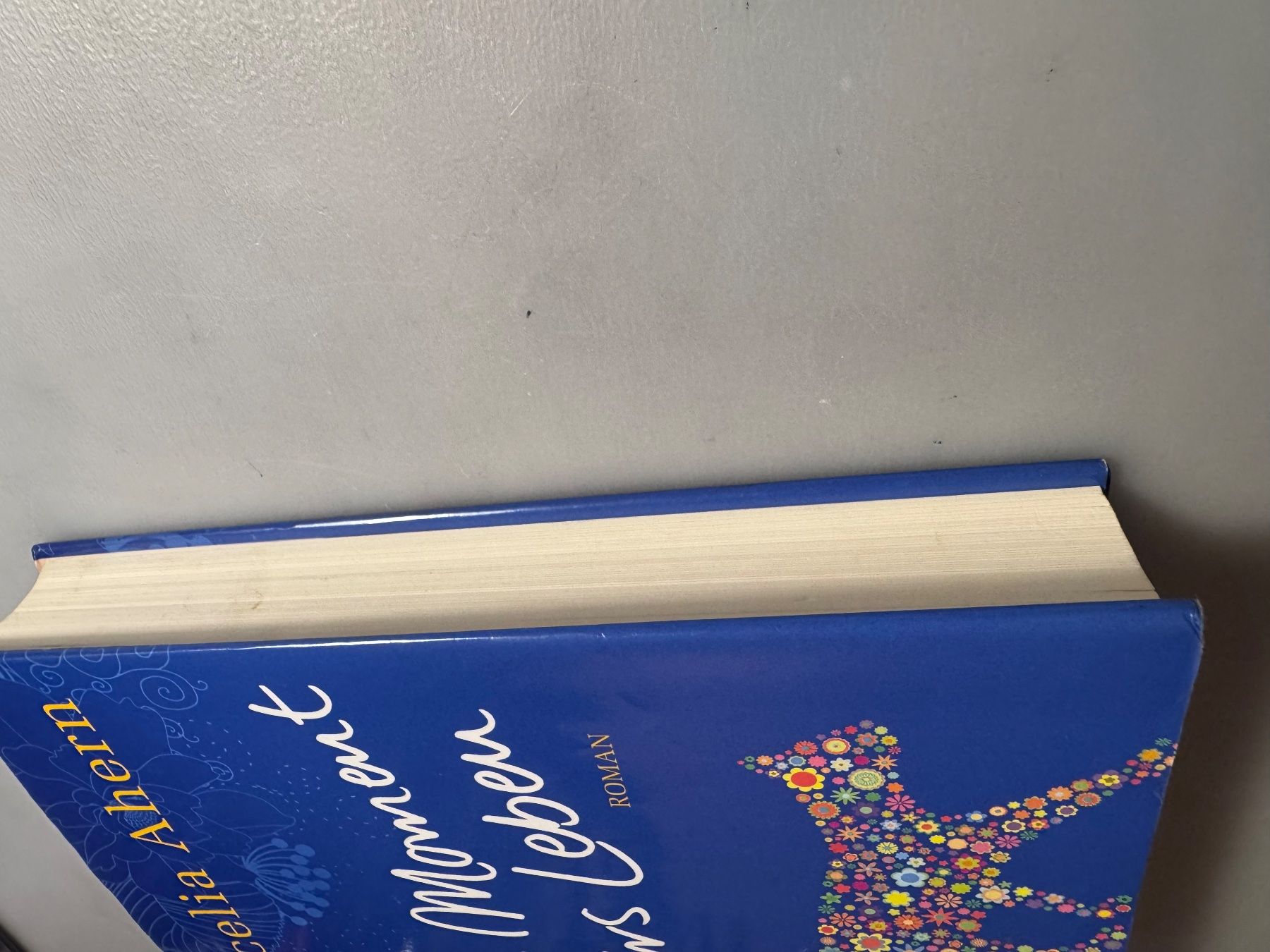 Libri: Cecelia Ahern: Ein Moment fürs Leben – Usato da Winterthur venduto da tam_7tbh 3