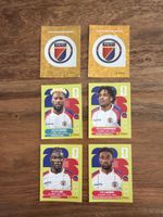 Panini FIFA World Cup 2020 Sticker Haiti 