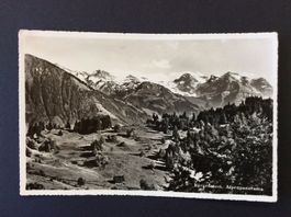 Bürgenstock, Alpenpanorama