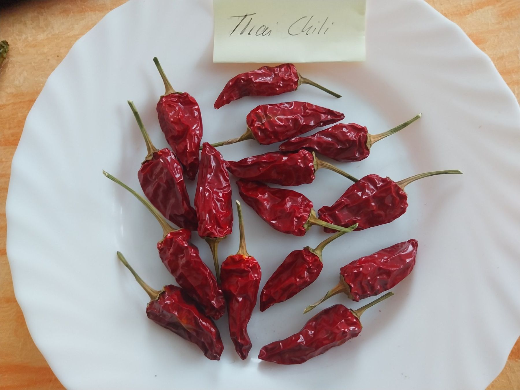 Piante & sementi: Thai Chili 10 Samen – Usato da Schwaderloch venduto da bademeister79 3