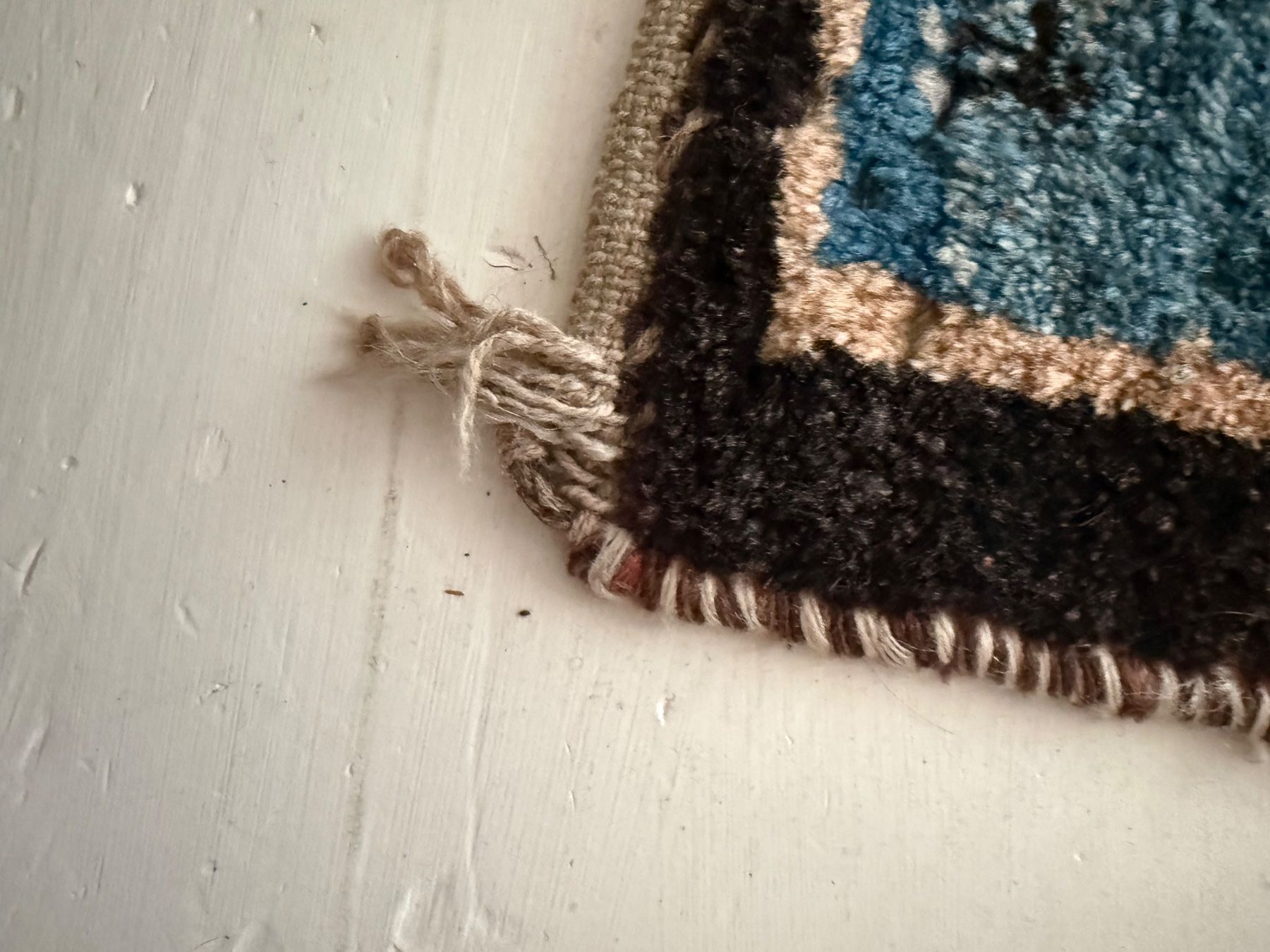 Gabbeh Tapis: Besonderer Gabbeh – D'occasion à Biel/Bienne par rosaalba 1