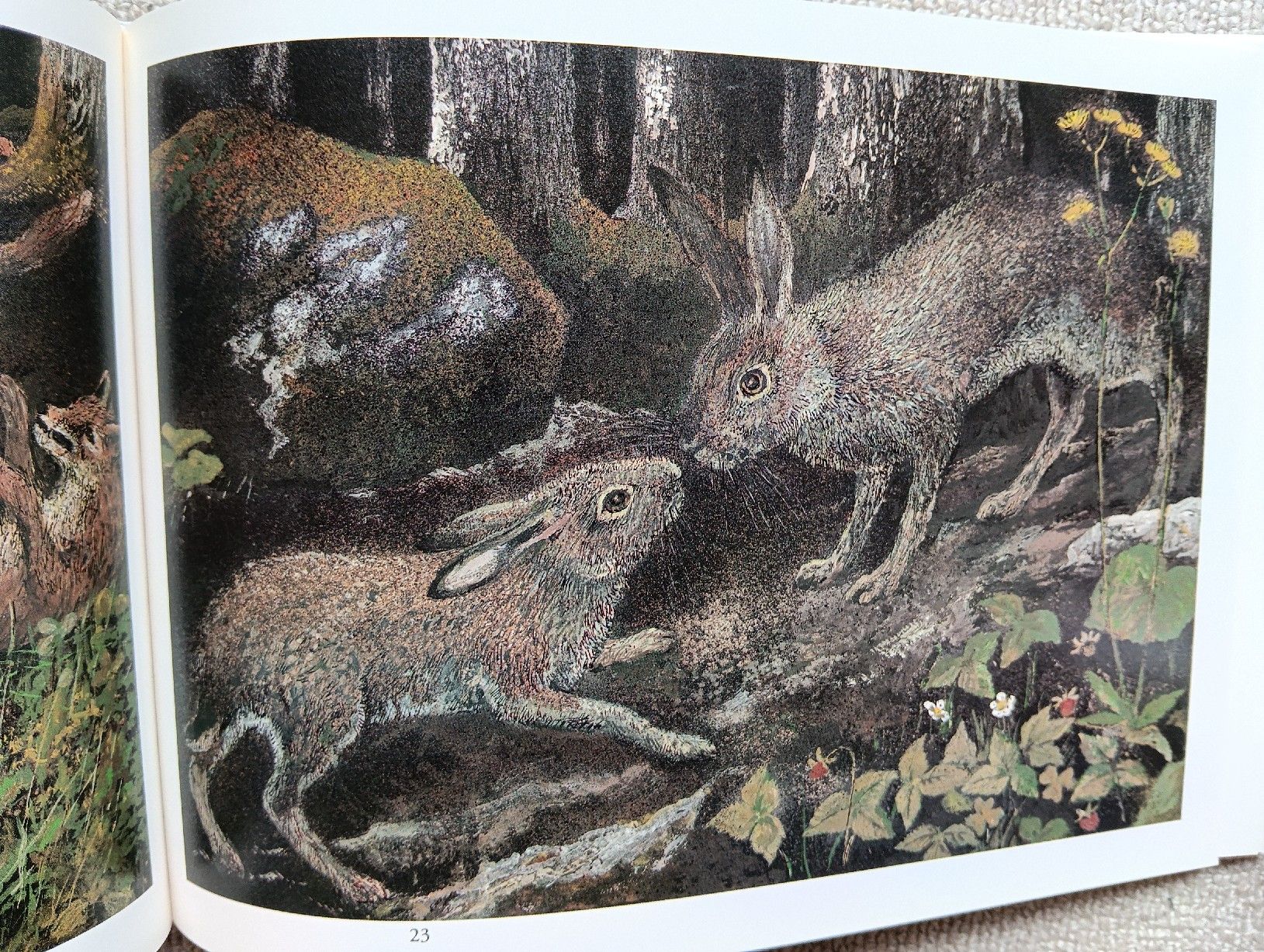 Libri: Hasen Jahr Peter Bergmann neu – Nuovo (secondo la descrizione) da Wettingen venduto da penelope39 3