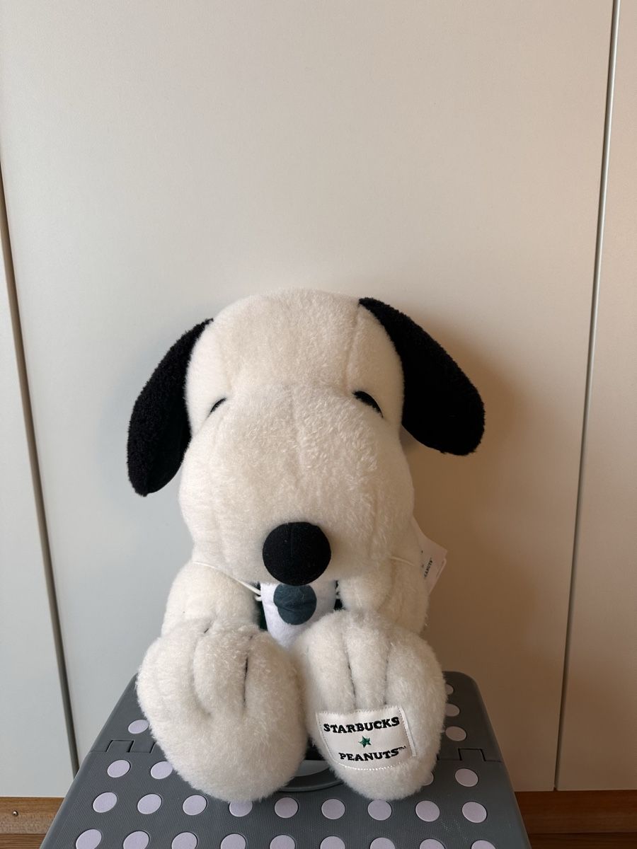 Giocattoli: Snoopy x Starbucks – Nuovo (secondo la descrizione) da Maur venduto da Phibilina