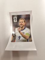 Panini Cola Bild