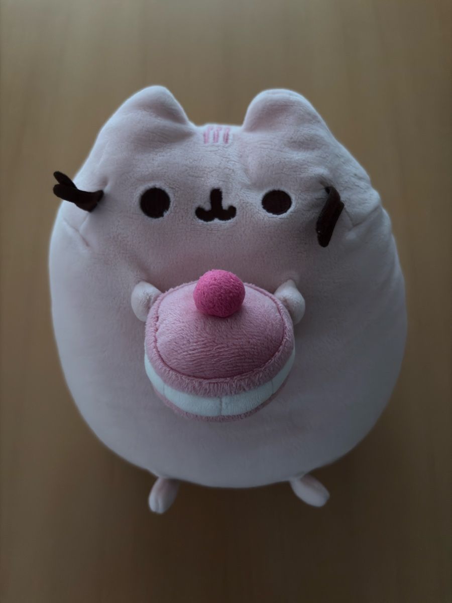 Jouets: Pusheen Kuscheltier rosa mit Macaron neuwertig – Neuf (Voir description) à Forch par CorinneB-K