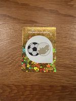 FIFA WM 2026 Panini RSA 1