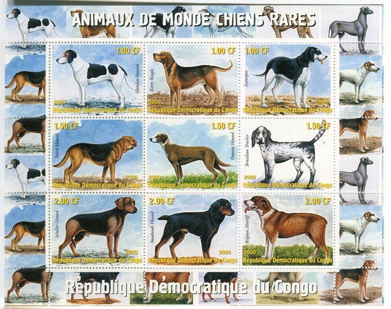 Tutti i francobolli: Block "Jagdhunde". Kongo. – Nuovo e nell'imballaggio originale da Basel venduto da Butsch5