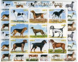 Block "Jagdhunde". Kongo.