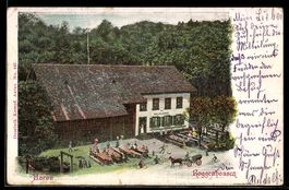 AK Aarau, Gasthaus zur Waldschenke im Wildpark Roggenhausen
