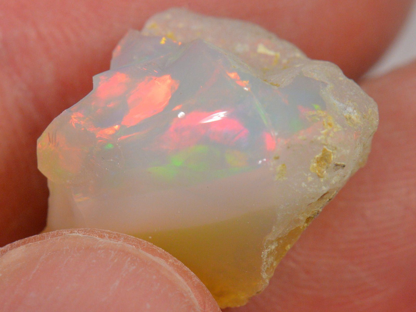 Pietre preziose: 17 Karat - Roher Äthiopischer Welo Opal – Nuovo (secondo la descrizione) da Rüti ZH venduto da DeinOpal 1