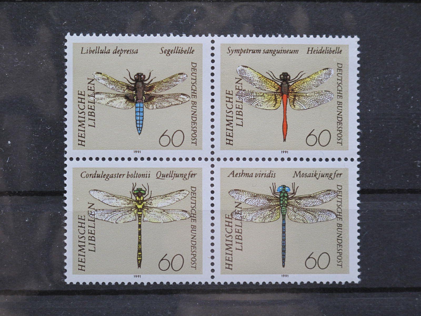 Tous les timbres: BRD 1991 Libellen ** – D'occasion à Wil SG par fva01