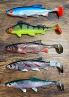 BALZER Shirasu Clone Shad 3D 5er Set - 15 cm, 26 gr