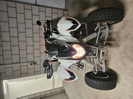 QUAD ACCESS SP300