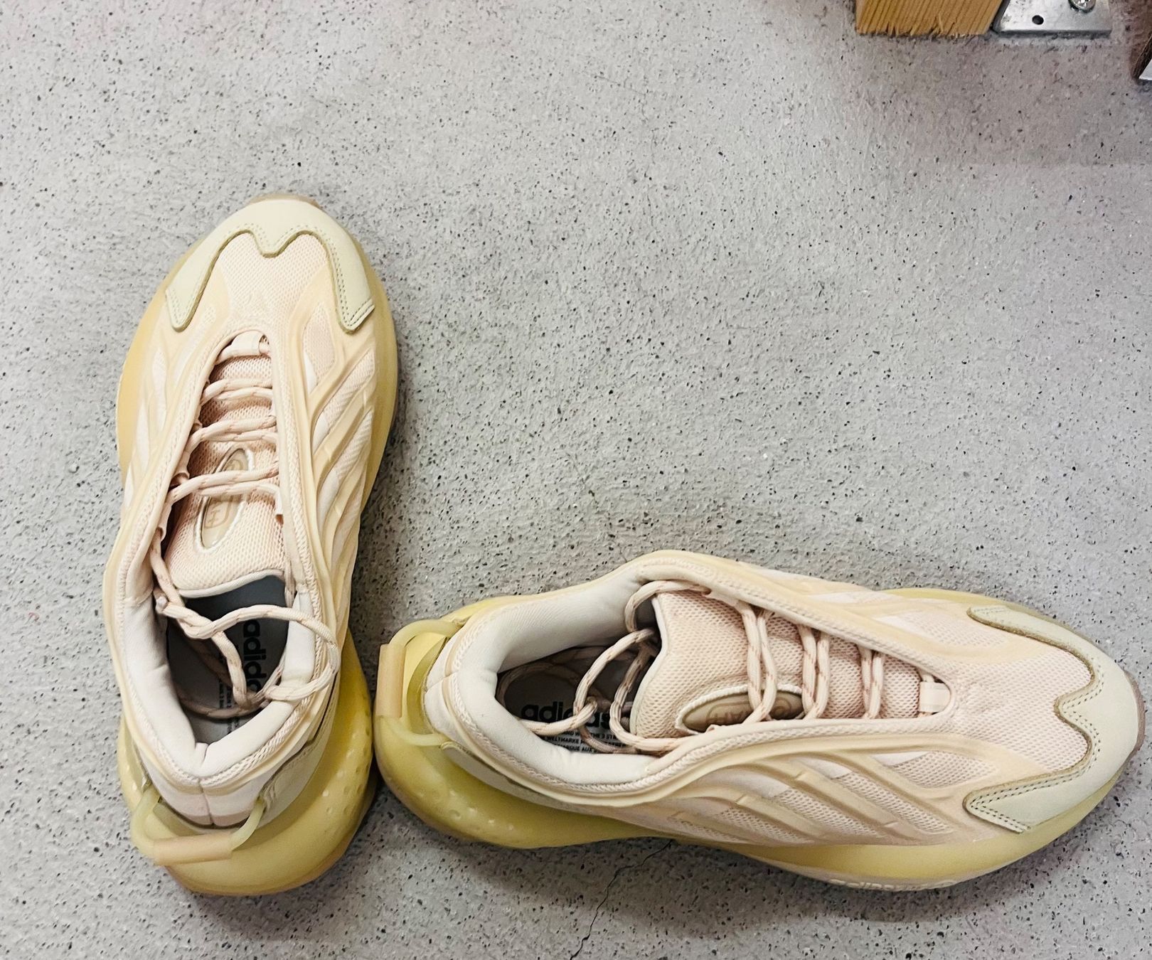 Adidas Scarpe da uomo: Adidas Sneaker Ozelia neu (Gr.38) – Nuovo (secondo la descrizione) da Uster venduto da G80 4