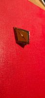 Polizei Verbabd Bern Pin