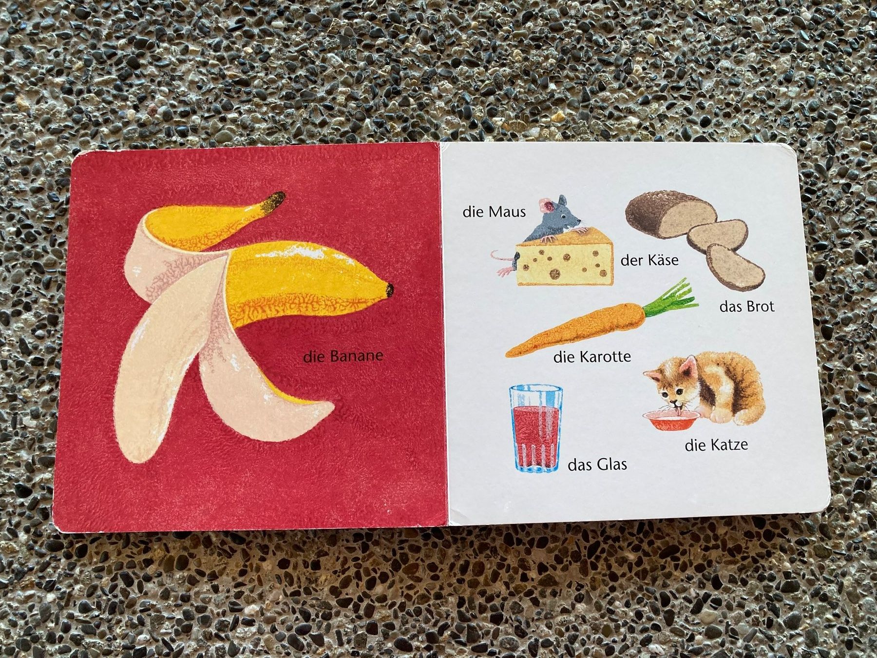 Libri: ministeps, Alles hat einen Namen, Ravensburger – Usato da Aetingen venduto da Nadinsky 3