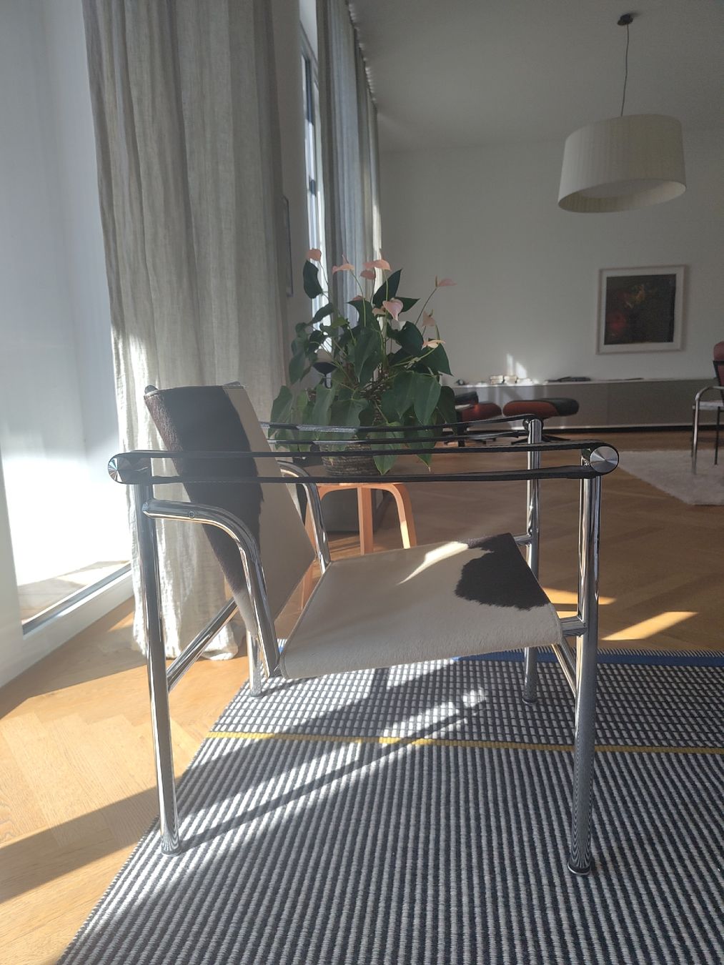 Sessel: Stuhl Le Corbusier LC1, Replic – Gebraucht aus Stettlen von uho_qxv5 1