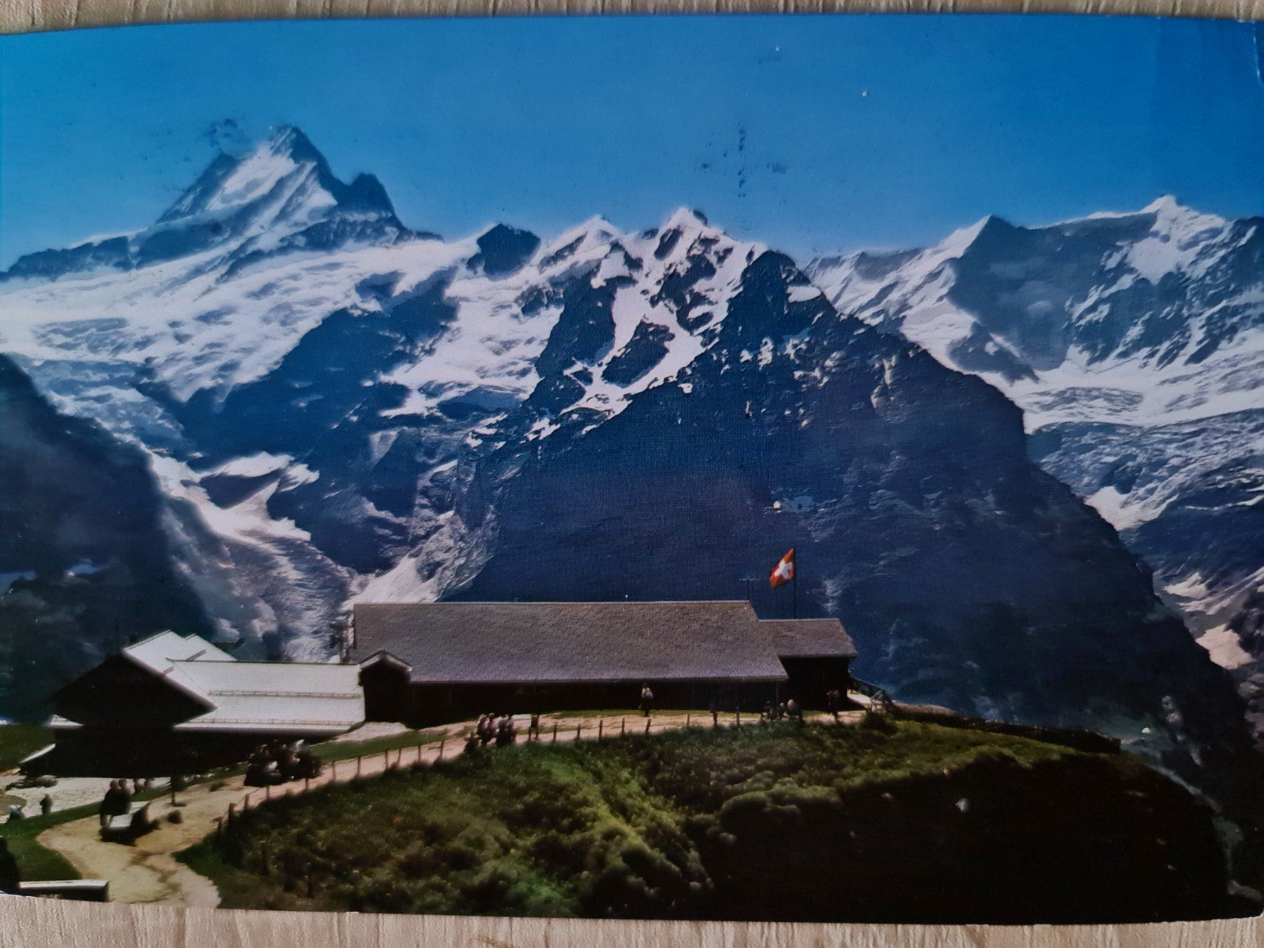 Cartoline postali: Ansichtskarte Grindelwald – Usato da Dintikon venduto da Vexi