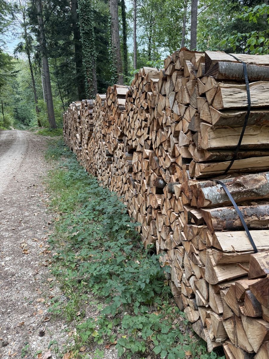 Holzartikel: Buchen Brennholz 26 Ster – Neu (gemäss Beschreibung) aus Liesberg Dorf von hur_ksp9 2