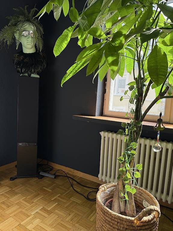 Casse acustiche: Teufel STEREO L – Usato da Zürich venduto da jetztkaufen24 4