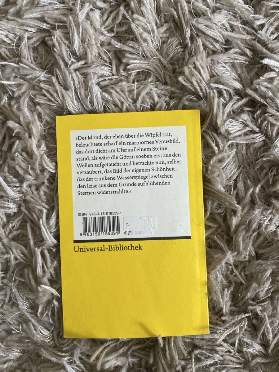 Libri: Buch Das Marmorbild Joseph von Eichendorff neuwertig – Usato da Münchenbuchsee venduto da sel_8vzx 2