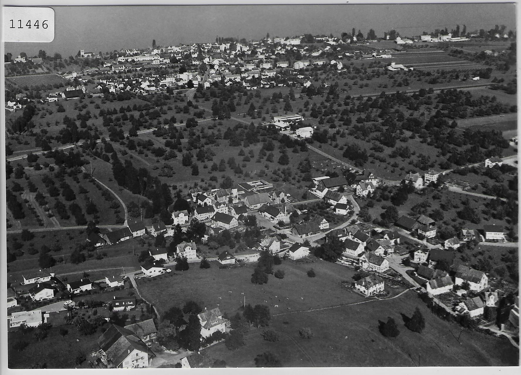 Cartoline postali: Flugaufnahme Tübach SG – Antico da Ettingen venduto da Kartenplanet