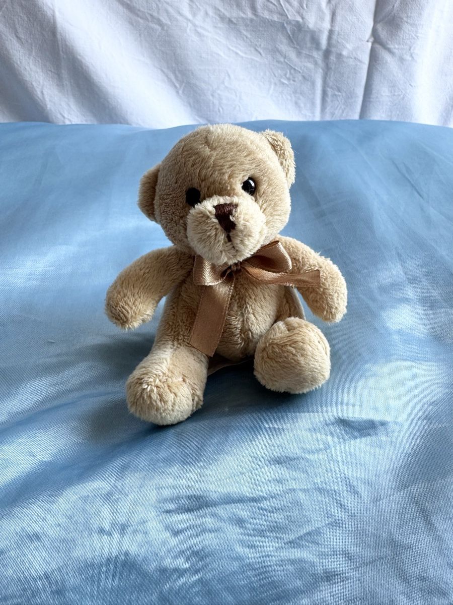 Spielzeuge: Teddy  – Gebraucht aus Bern von ava_l8tk