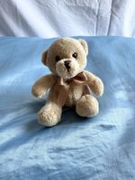 Teddy 