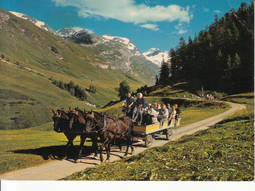 Cartoline postali: Sils 1980 – Usato da Bürglen TG venduto da StampGraf