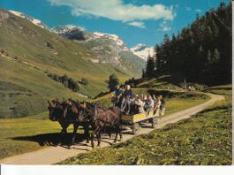 Sils 1980