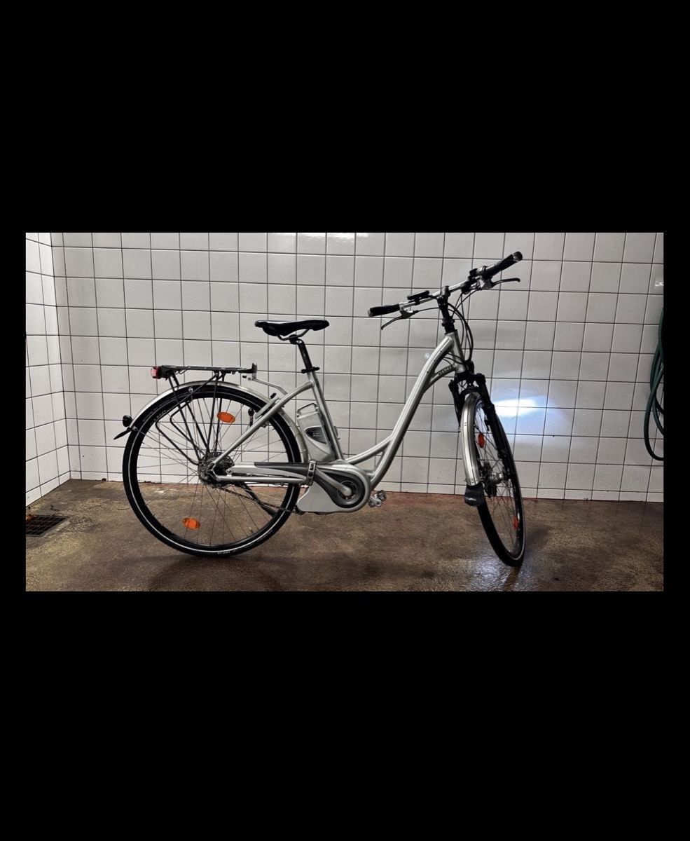 Flyer Biciclette: Flyer e Bike Elektro Velo  – Usato da Brugg AG venduto da ToniMontana95 1